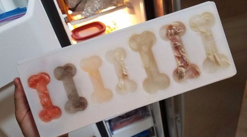 ICE BONES